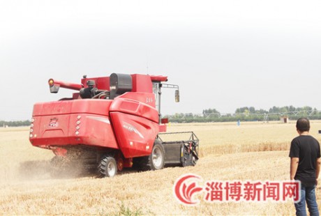 淄博首次啟用無人駕駛農機參與夏收夏播，141.23萬畝小麥收獲過半！