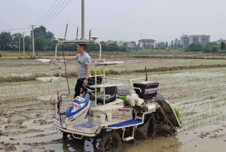 安慶市首臺(tái)無(wú)人駕駛插秧機(jī)在桐城投用